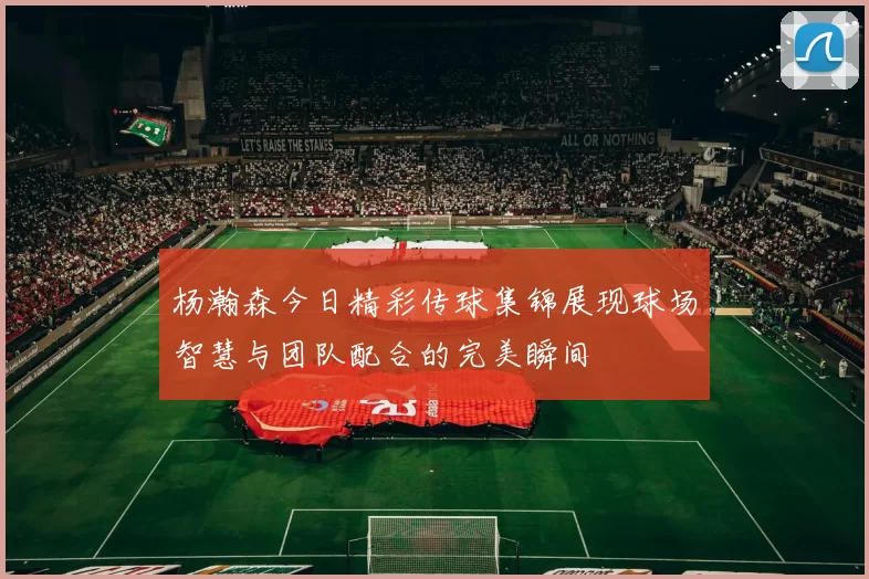 杨瀚森今日精彩传球集锦展现球场智慧与团队配合的完美瞬间